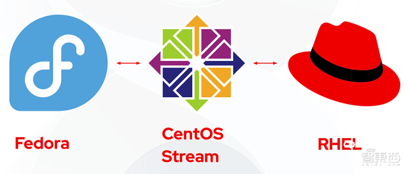 CentOS 8香港服务器Yum源404报错修复指南